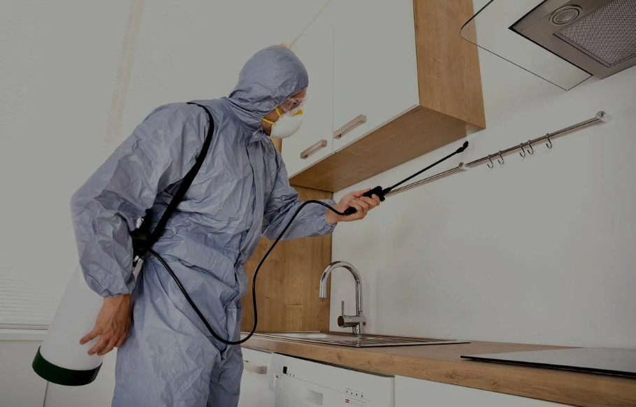Atwater pest managment